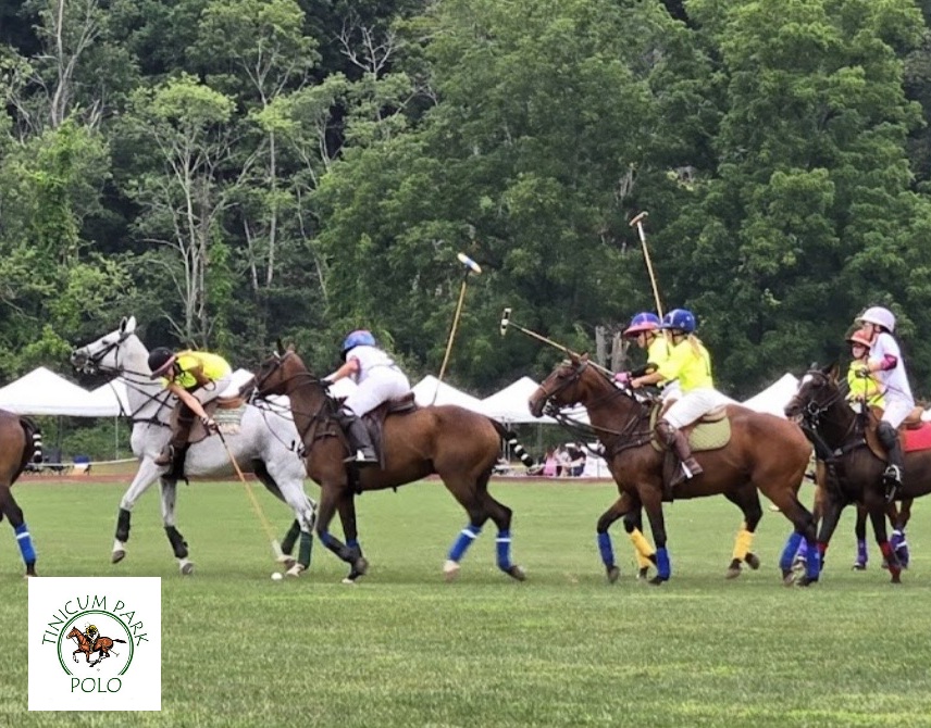 Polo players on horseback in a grassy field, mallets raised, wearing colorful helmets and outfits, with tents in the background.