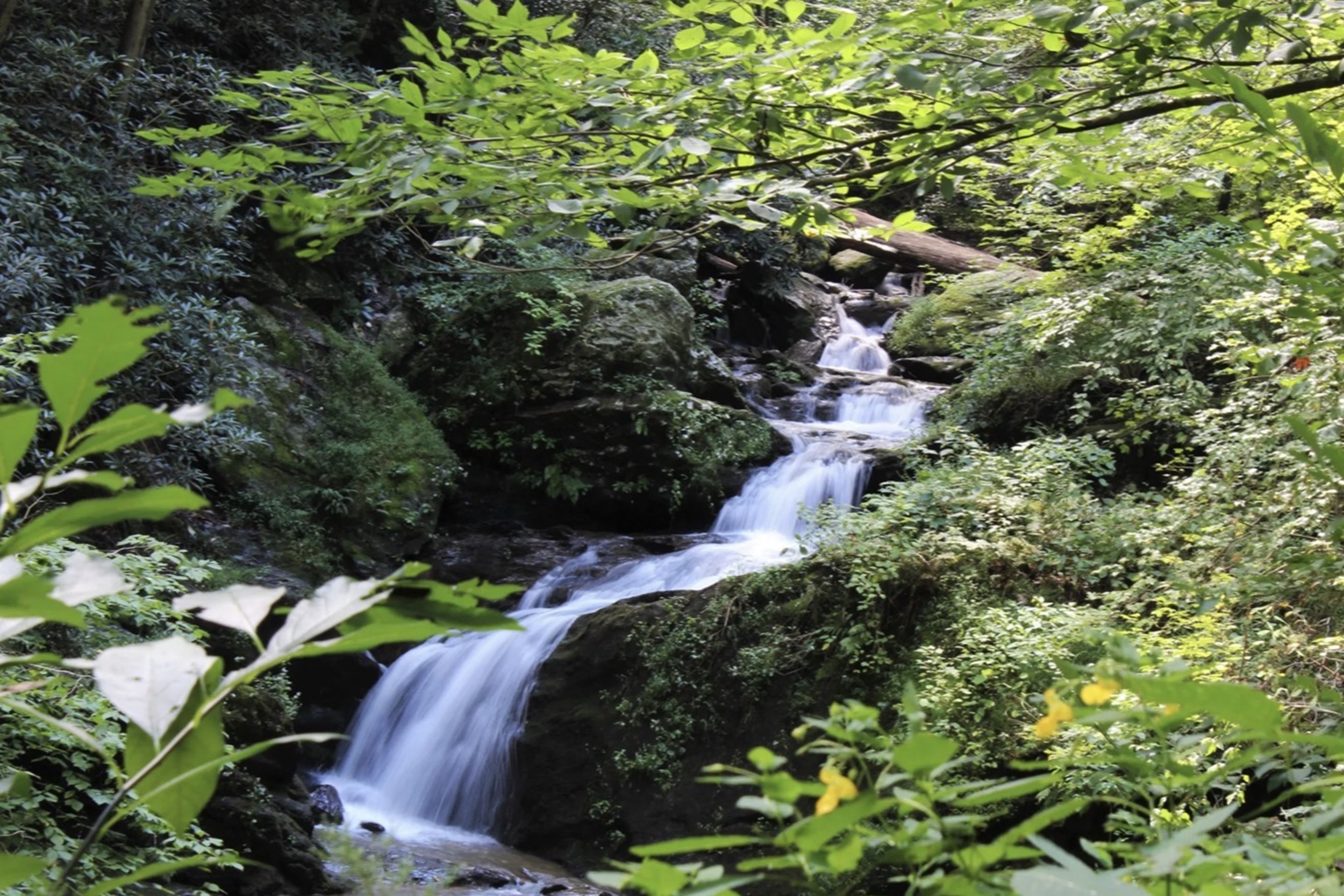 Mill Creek Falls in Holland Pennsylvania.